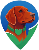 SC Lost & Found Dogs